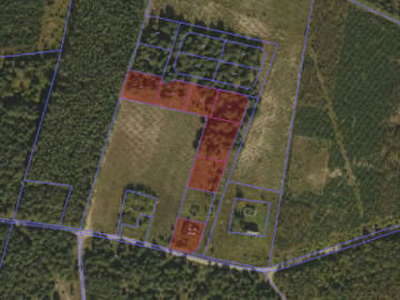 Na sprzedaż działki budowlane z zadrzewieniem - Kol. Lipiny