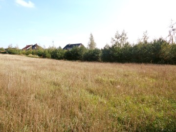 Okolice Ślesina &ndash; Działki Budowlane