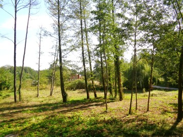 Działki Letniskowe - Jezioro Ślesińskie