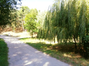 Działki Letniskowe - Jezioro Ślesińskie