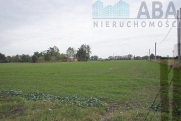 Nieruchomość rolna na sprzedaż - budynek mieszkalny + magazy