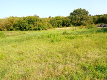 Kleczew – Działki inwestycyjne