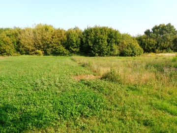 Kleczew – Działki inwestycyjne