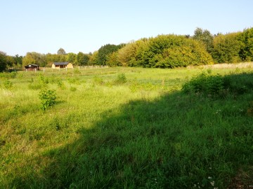 Kleczew – Działki inwestycyjne