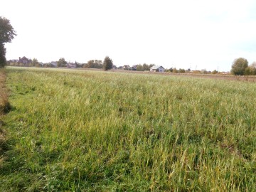 Ślesin – Sprzedam działkę budowlaną