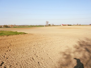 Okolice Skulska &ndash; Gospodarstwo Rolne