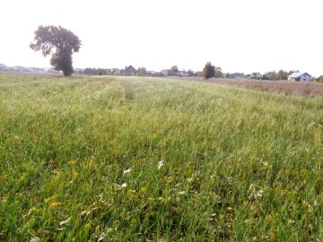 Ślesin &ndash; Sprzedam działkę budowlaną