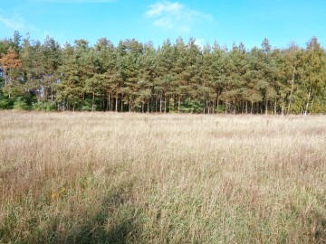 Okolice Ślesina &ndash; Działki Budowlane