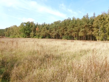 Okolice Ślesina &ndash; Działki Budowlane