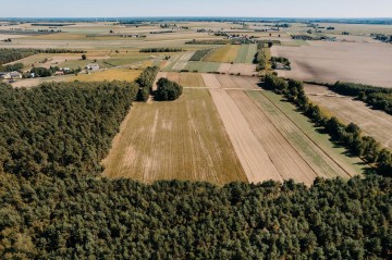 Działki budowlane pod lasem - Plebanki / 12 km Koło