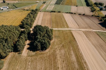 Działki budowlane pod lasem - Plebanki / 12 km Koło