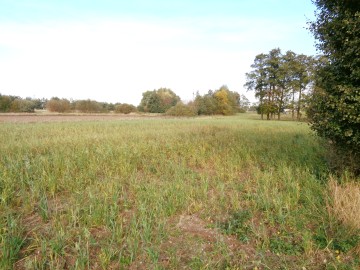 Ślesin &ndash; Sprzedam działkę budowlaną