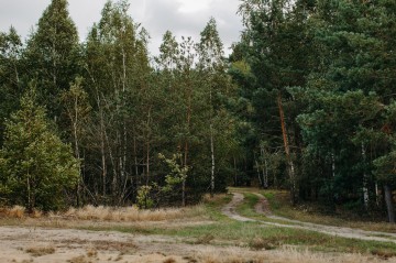Sprzedam działki budowlane - Ksawer&oacute;w, gmina Kramsk