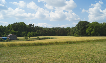 NA SPRZEDAŻ DZIAŁKA BUDOWLANA - KĘPA, GMINA ŚLESIN