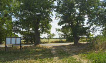 NA SPRZEDAŻ DZIAŁKA BUDOWLANA - KĘPA, GMINA ŚLESIN