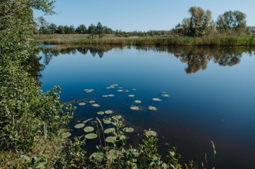 Sprzedam działki rekreacyjne nad kanałem Gopło - Goplana