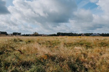 Sprzedam 4 Działki w Krzymowie, woj. Wielkopolskie