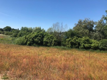 Sprzedam Działki budowlane-Trzęśniewie Małym, gmina Kościele