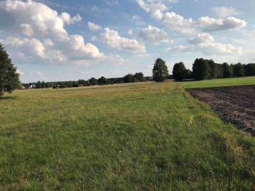 Sprzedam Działki budowlane-Trzęśniewie Małym, gmina Kościele