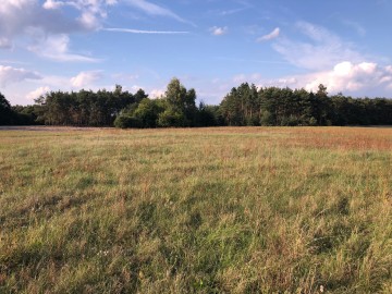 Sprzedam Działki budowlane-Trzęśniewie Małym, gmina Kościele