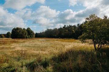 Sprzedam Działki budowlane w Tury, Gmina Kościelec