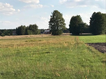 Na sprzedaż działki budowlane w Trzęśniewie, Gmina Kościelec