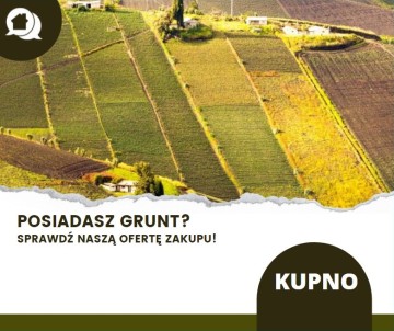 Wilczyn, Skulsk, Budzisław Kościelny, Ślesin - Kupię grunt