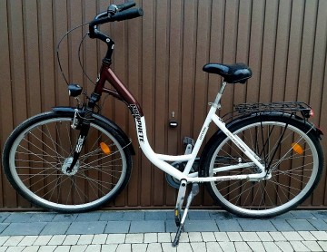 Damka miejska prophete