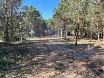 Sprzedam działki - Kolonia Lipiny, gmina Sompolno