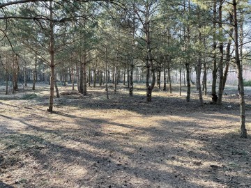 Sprzedam działki - Kolonia Lipiny, gmina Sompolno