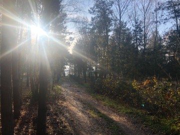 Sprzedam działki - Kolonia Lipiny, gmina Sompolno