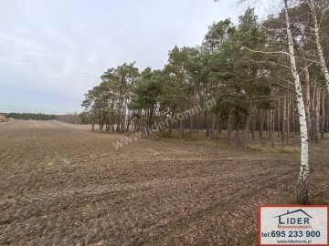 Sprzedam NOWE domy &ndash; Posoka k. Konina