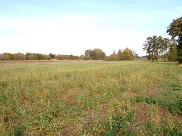 Ślesin – Sprzedam działkę budowlaną