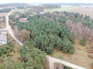 Gniezno, obręb Mnichowo