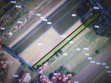 NIŻSZA CENA! Działka w Ruszkowie Pierwszym gm. Kościelec