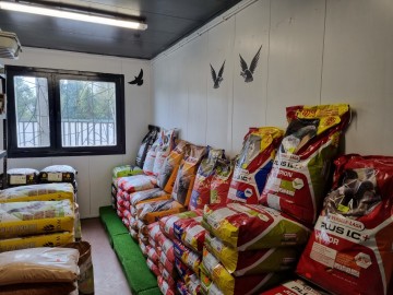 KARMY I AKCESORIA DLA GOŁĘBI Sklep zoologiczny nufiko Konin