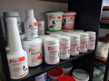 KARMY I AKCESORIA DLA GOŁĘBI Sklep zoologiczny nufiko Konin