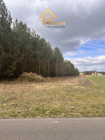 Działki budowlane Zaryń gm.Wierzbinek