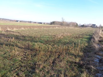 Brd&oacute;w &ndash; Działka Pod Zabudowę Mieszkaniową