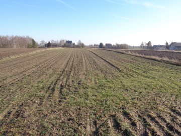 Brd&oacute;w &ndash; Działka Pod Zabudowę Mieszkaniową