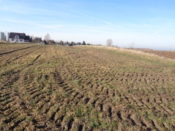 Brd&oacute;w &ndash; Działka Pod Zabudowę Mieszkaniową