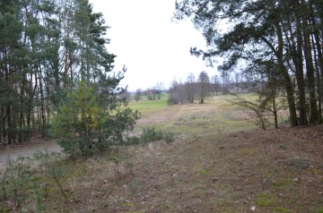 Działki rolne 2,32 ha w Augustynowie na sprzedaż