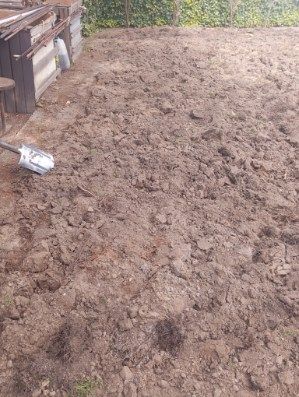 Oferuję usługi w ogrodzie, cięcie drewna i inne