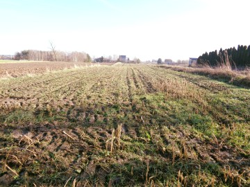 Brd&oacute;w &ndash; Działka Pod Zabudowę Mieszkaniową