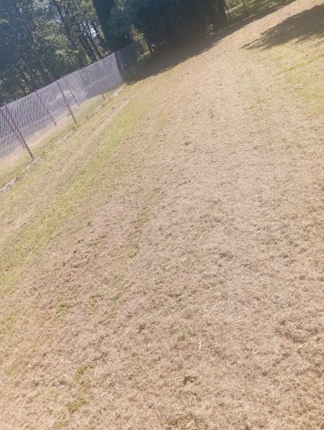 Oferuję pomoc w ogrodzie i na działkach