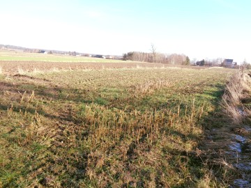 Brdów – Działka Pod Zabudowę Mieszkaniową