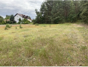 Sprzedam działkę Potażniki gm. Krzym&oacute;w