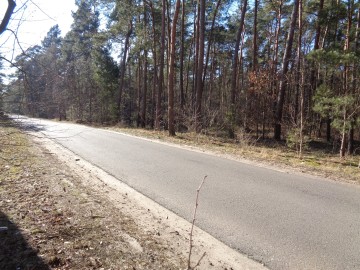 Ślesin &ndash; Działka Leśna