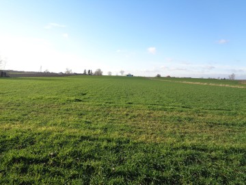 Działka Budowlana okolice Sompolna/Izbicy Kujawskiej