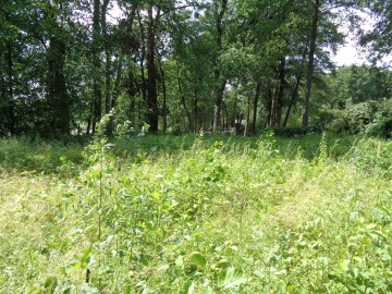 Działka z linią brzegową - Jezioro Ślesińskie